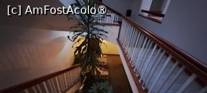 [P41] Imperatriz Aparthotel, pe scări » foto by irinad
 - 
<span class="allrVoted glyphicon glyphicon-heart hidden" id="av1502293"></span>
<a class="m-l-10 hidden" id="sv1502293" onclick="voting_Foto_DelVot(,1502293,29150)" role="button">șterge vot <span class="glyphicon glyphicon-remove"></span></a>
<a id="v91502293" class=" c-red"  onclick="voting_Foto_SetVot(1502293)" role="button"><span class="glyphicon glyphicon-heart-empty"></span> <b>LIKE</b> = Votează poza</a> <img class="hidden"  id="f1502293W9" src="/imagini/loader.gif" border="0" /><span class="AjErrMes hidden" id="e1502293ErM"></span>