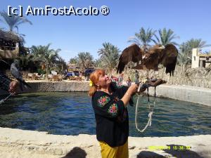 [P13] 13. Eu și șoimul. » foto by doinafil
 - 
<span class="allrVoted glyphicon glyphicon-heart hidden" id="av1502778"></span>
<a class="m-l-10 hidden" id="sv1502778" onclick="voting_Foto_DelVot(,1502778,29152)" role="button">șterge vot <span class="glyphicon glyphicon-remove"></span></a>
<a id="v91502778" class=" c-red"  onclick="voting_Foto_SetVot(1502778)" role="button"><span class="glyphicon glyphicon-heart-empty"></span> <b>LIKE</b> = Votează poza</a> <img class="hidden"  id="f1502778W9" src="/imagini/loader.gif" border="0" /><span class="AjErrMes hidden" id="e1502778ErM"></span>