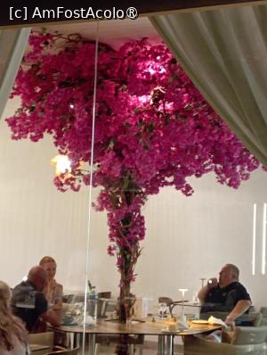 [P13]  -- <small>// FĂRĂ DESCRIERE</small> » foto by Ella Elle
 - 
<span class="allrVoted glyphicon glyphicon-heart hidden" id="av1504056"></span>
<a class="m-l-10 hidden" id="sv1504056" onclick="voting_Foto_DelVot(,1504056,29162)" role="button">șterge vot <span class="glyphicon glyphicon-remove"></span></a>
<a id="v91504056" class=" c-red"  onclick="voting_Foto_SetVot(1504056)" role="button"><span class="glyphicon glyphicon-heart-empty"></span> <b>LIKE</b> = Votează poza</a> <img class="hidden"  id="f1504056W9" src="/imagini/loader.gif" border="0" /><span class="AjErrMes hidden" id="e1504056ErM"></span>