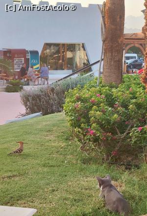 [P07] Inca 2 prieteni » foto by moatza76
 - 
<span class="allrVoted glyphicon glyphicon-heart hidden" id="av1504411"></span>
<a class="m-l-10 hidden" id="sv1504411" onclick="voting_Foto_DelVot(,1504411,29164)" role="button">șterge vot <span class="glyphicon glyphicon-remove"></span></a>
<a id="v91504411" class=" c-red"  onclick="voting_Foto_SetVot(1504411)" role="button"><span class="glyphicon glyphicon-heart-empty"></span> <b>LIKE</b> = Votează poza</a> <img class="hidden"  id="f1504411W9" src="/imagini/loader.gif" border="0" /><span class="AjErrMes hidden" id="e1504411ErM"></span>