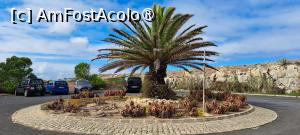 [P79] Rondul de lângă Quinta das Palmeiras » foto by irinad
 - 
<span class="allrVoted glyphicon glyphicon-heart hidden" id="av1505355"></span>
<a class="m-l-10 hidden" id="sv1505355" onclick="voting_Foto_DelVot(,1505355,29172)" role="button">șterge vot <span class="glyphicon glyphicon-remove"></span></a>
<a id="v91505355" class=" c-red"  onclick="voting_Foto_SetVot(1505355)" role="button"><span class="glyphicon glyphicon-heart-empty"></span> <b>LIKE</b> = Votează poza</a> <img class="hidden"  id="f1505355W9" src="/imagini/loader.gif" border="0" /><span class="AjErrMes hidden" id="e1505355ErM"></span>