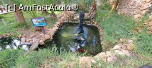 [P83] Quinta das Palmeiras,iaz cu pești » foto by irinad
 - 
<span class="allrVoted glyphicon glyphicon-heart hidden" id="av1505359"></span>
<a class="m-l-10 hidden" id="sv1505359" onclick="voting_Foto_DelVot(,1505359,29172)" role="button">șterge vot <span class="glyphicon glyphicon-remove"></span></a>
<a id="v91505359" class=" c-red"  onclick="voting_Foto_SetVot(1505359)" role="button"><span class="glyphicon glyphicon-heart-empty"></span> <b>LIKE</b> = Votează poza</a> <img class="hidden"  id="f1505359W9" src="/imagini/loader.gif" border="0" /><span class="AjErrMes hidden" id="e1505359ErM"></span>