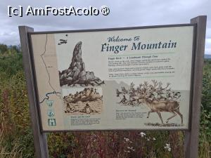 [P45] am ajuns si la degete » foto by robert
 - 
<span class="allrVoted glyphicon glyphicon-heart hidden" id="av1508702"></span>
<a class="m-l-10 hidden" id="sv1508702" onclick="voting_Foto_DelVot(,1508702,29187)" role="button">șterge vot <span class="glyphicon glyphicon-remove"></span></a>
<a id="v91508702" class=" c-red"  onclick="voting_Foto_SetVot(1508702)" role="button"><span class="glyphicon glyphicon-heart-empty"></span> <b>LIKE</b> = Votează poza</a> <img class="hidden"  id="f1508702W9" src="/imagini/loader.gif" border="0" /><span class="AjErrMes hidden" id="e1508702ErM"></span>