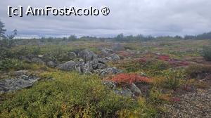 [P47] la pas prin Alaska » foto by robert
 - 
<span class="allrVoted glyphicon glyphicon-heart hidden" id="av1508704"></span>
<a class="m-l-10 hidden" id="sv1508704" onclick="voting_Foto_DelVot(,1508704,29187)" role="button">șterge vot <span class="glyphicon glyphicon-remove"></span></a>
<a id="v91508704" class=" c-red"  onclick="voting_Foto_SetVot(1508704)" role="button"><span class="glyphicon glyphicon-heart-empty"></span> <b>LIKE</b> = Votează poza</a> <img class="hidden"  id="f1508704W9" src="/imagini/loader.gif" border="0" /><span class="AjErrMes hidden" id="e1508704ErM"></span>