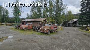 [P17] am ajuns la complex » foto by robert
 - 
<span class="allrVoted glyphicon glyphicon-heart hidden" id="av1509233"></span>
<a class="m-l-10 hidden" id="sv1509233" onclick="voting_Foto_DelVot(,1509233,29187)" role="button">șterge vot <span class="glyphicon glyphicon-remove"></span></a>
<a id="v91509233" class=" c-red"  onclick="voting_Foto_SetVot(1509233)" role="button"><span class="glyphicon glyphicon-heart-empty"></span> <b>LIKE</b> = Votează poza</a> <img class="hidden"  id="f1509233W9" src="/imagini/loader.gif" border="0" /><span class="AjErrMes hidden" id="e1509233ErM"></span>