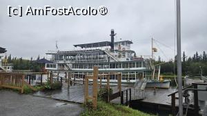 [P02] vasul nostru » foto by robert
 - 
<span class="allrVoted glyphicon glyphicon-heart hidden" id="av1510063"></span>
<a class="m-l-10 hidden" id="sv1510063" onclick="voting_Foto_DelVot(,1510063,29187)" role="button">șterge vot <span class="glyphicon glyphicon-remove"></span></a>
<a id="v91510063" class=" c-red"  onclick="voting_Foto_SetVot(1510063)" role="button"><span class="glyphicon glyphicon-heart-empty"></span> <b>LIKE</b> = Votează poza</a> <img class="hidden"  id="f1510063W9" src="/imagini/loader.gif" border="0" /><span class="AjErrMes hidden" id="e1510063ErM"></span>