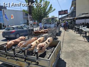 [P03] Cine ar trece nepăsător ? » foto by DOINITA
 - 
<span class="allrVoted glyphicon glyphicon-heart hidden" id="av1509177"></span>
<a class="m-l-10 hidden" id="sv1509177" onclick="voting_Foto_DelVot(,1509177,29190)" role="button">șterge vot <span class="glyphicon glyphicon-remove"></span></a>
<a id="v91509177" class=" c-red"  onclick="voting_Foto_SetVot(1509177)" role="button"><span class="glyphicon glyphicon-heart-empty"></span> <b>LIKE</b> = Votează poza</a> <img class="hidden"  id="f1509177W9" src="/imagini/loader.gif" border="0" /><span class="AjErrMes hidden" id="e1509177ErM"></span>