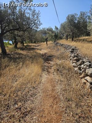 [P37] Prin livada de măslini » foto by DOINITA
 - 
<span class="allrVoted glyphicon glyphicon-heart hidden" id="av1509211"></span>
<a class="m-l-10 hidden" id="sv1509211" onclick="voting_Foto_DelVot(,1509211,29190)" role="button">șterge vot <span class="glyphicon glyphicon-remove"></span></a>
<a id="v91509211" class=" c-red"  onclick="voting_Foto_SetVot(1509211)" role="button"><span class="glyphicon glyphicon-heart-empty"></span> <b>LIKE</b> = Votează poza</a> <img class="hidden"  id="f1509211W9" src="/imagini/loader.gif" border="0" /><span class="AjErrMes hidden" id="e1509211ErM"></span>