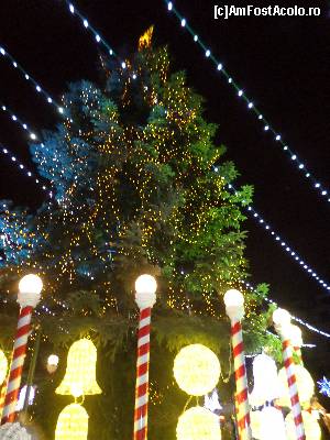 [P20] bradul din targ » foto by amero
 - 
<span class="allrVoted glyphicon glyphicon-heart hidden" id="av583463"></span>
<a class="m-l-10 hidden" id="sv583463" onclick="voting_Foto_DelVot(,583463,29197)" role="button">șterge vot <span class="glyphicon glyphicon-remove"></span></a>
<a id="v9583463" class=" c-red"  onclick="voting_Foto_SetVot(583463)" role="button"><span class="glyphicon glyphicon-heart-empty"></span> <b>LIKE</b> = Votează poza</a> <img class="hidden"  id="f583463W9" src="/imagini/loader.gif" border="0" /><span class="AjErrMes hidden" id="e583463ErM"></span>