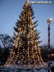 [P06] Targul de Craciun din Parcul Cismigiu pomul de Craciun in toata splendoarea lui » foto by magdalena
 - 
<span class="allrVoted glyphicon glyphicon-heart hidden" id="av173086"></span>
<a class="m-l-10 hidden" id="sv173086" onclick="voting_Foto_DelVot(,173086,29197)" role="button">șterge vot <span class="glyphicon glyphicon-remove"></span></a>
<a id="v9173086" class=" c-red"  onclick="voting_Foto_SetVot(173086)" role="button"><span class="glyphicon glyphicon-heart-empty"></span> <b>LIKE</b> = Votează poza</a> <img class="hidden"  id="f173086W9" src="/imagini/loader.gif" border="0" /><span class="AjErrMes hidden" id="e173086ErM"></span>