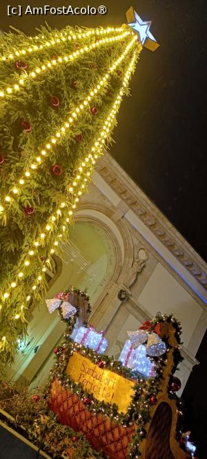 [P11] Bradul și sania Moșului. » foto by tata123 🔱
 - 
<span class="allrVoted glyphicon glyphicon-heart hidden" id="av1509927"></span>
<a class="m-l-10 hidden" id="sv1509927" onclick="voting_Foto_DelVot(,1509927,29197)" role="button">șterge vot <span class="glyphicon glyphicon-remove"></span></a>
<a id="v91509927" class=" c-red"  onclick="voting_Foto_SetVot(1509927)" role="button"><span class="glyphicon glyphicon-heart-empty"></span> <b>LIKE</b> = Votează poza</a> <img class="hidden"  id="f1509927W9" src="/imagini/loader.gif" border="0" /><span class="AjErrMes hidden" id="e1509927ErM"></span>