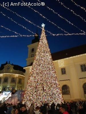 [P19] Bradul din piața mare » foto by nelu73
 - 
<span class="allrVoted glyphicon glyphicon-heart hidden" id="av1266914"></span>
<a class="m-l-10 hidden" id="sv1266914" onclick="voting_Foto_DelVot(,1266914,29199)" role="button">șterge vot <span class="glyphicon glyphicon-remove"></span></a>
<a id="v91266914" class=" c-red"  onclick="voting_Foto_SetVot(1266914)" role="button"><span class="glyphicon glyphicon-heart-empty"></span> <b>LIKE</b> = Votează poza</a> <img class="hidden"  id="f1266914W9" src="/imagini/loader.gif" border="0" /><span class="AjErrMes hidden" id="e1266914ErM"></span>