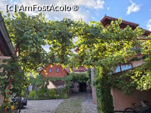 [P03] Pensiunea Cristina » foto by Carmen Ion
 - 
<span class="allrVoted glyphicon glyphicon-heart hidden" id="av1510250"></span>
<a class="m-l-10 hidden" id="sv1510250" onclick="voting_Foto_DelVot(,1510250,29200)" role="button">șterge vot <span class="glyphicon glyphicon-remove"></span></a>
<a id="v91510250" class=" c-red"  onclick="voting_Foto_SetVot(1510250)" role="button"><span class="glyphicon glyphicon-heart-empty"></span> <b>LIKE</b> = Votează poza</a> <img class="hidden"  id="f1510250W9" src="/imagini/loader.gif" border="0" /><span class="AjErrMes hidden" id="e1510250ErM"></span>