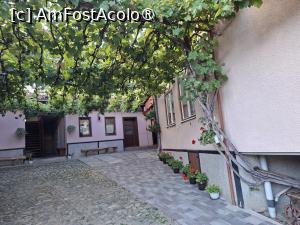 [P07] Pensiunea Cristina - prima curte » foto by Carmen Ion
 - 
<span class="allrVoted glyphicon glyphicon-heart hidden" id="av1510254"></span>
<a class="m-l-10 hidden" id="sv1510254" onclick="voting_Foto_DelVot(,1510254,29200)" role="button">șterge vot <span class="glyphicon glyphicon-remove"></span></a>
<a id="v91510254" class=" c-red"  onclick="voting_Foto_SetVot(1510254)" role="button"><span class="glyphicon glyphicon-heart-empty"></span> <b>LIKE</b> = Votează poza</a> <img class="hidden"  id="f1510254W9" src="/imagini/loader.gif" border="0" /><span class="AjErrMes hidden" id="e1510254ErM"></span>