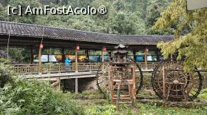 [P02] cateva mori ornamentale » foto by elenaadina
 - 
<span class="allrVoted glyphicon glyphicon-heart hidden" id="av1507048"></span>
<a class="m-l-10 hidden" id="sv1507048" onclick="voting_Foto_DelVot(,1507048,29201)" role="button">șterge vot <span class="glyphicon glyphicon-remove"></span></a>
<a id="v91507048" class=" c-red"  onclick="voting_Foto_SetVot(1507048)" role="button"><span class="glyphicon glyphicon-heart-empty"></span> <b>LIKE</b> = Votează poza</a> <img class="hidden"  id="f1507048W9" src="/imagini/loader.gif" border="0" /><span class="AjErrMes hidden" id="e1507048ErM"></span>