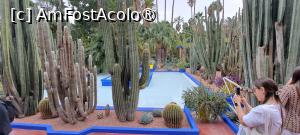 [P11] Fântâna mare din fața muzeului și mulți cactuși » foto by irinad
 - 
<span class="allrVoted glyphicon glyphicon-heart hidden" id="av1510615"></span>
<a class="m-l-10 hidden" id="sv1510615" onclick="voting_Foto_DelVot(,1510615,29203)" role="button">șterge vot <span class="glyphicon glyphicon-remove"></span></a>
<a id="v91510615" class=" c-red"  onclick="voting_Foto_SetVot(1510615)" role="button"><span class="glyphicon glyphicon-heart-empty"></span> <b>LIKE</b> = Votează poza</a> <img class="hidden"  id="f1510615W9" src="/imagini/loader.gif" border="0" /><span class="AjErrMes hidden" id="e1510615ErM"></span>