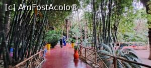 [P17] Aleile din arealul Grădinii Majorelle » foto by irinad
 - 
<span class="allrVoted glyphicon glyphicon-heart hidden" id="av1510621"></span>
<a class="m-l-10 hidden" id="sv1510621" onclick="voting_Foto_DelVot(,1510621,29203)" role="button">șterge vot <span class="glyphicon glyphicon-remove"></span></a>
<a id="v91510621" class=" c-red"  onclick="voting_Foto_SetVot(1510621)" role="button"><span class="glyphicon glyphicon-heart-empty"></span> <b>LIKE</b> = Votează poza</a> <img class="hidden"  id="f1510621W9" src="/imagini/loader.gif" border="0" /><span class="AjErrMes hidden" id="e1510621ErM"></span>