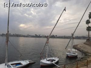 [P24] Steigenberger Resort Achti (partea către Nil) » foto by adso
 - 
<span class="allrVoted glyphicon glyphicon-heart hidden" id="av1511205"></span>
<a class="m-l-10 hidden" id="sv1511205" onclick="voting_Foto_DelVot(,1511205,29205)" role="button">șterge vot <span class="glyphicon glyphicon-remove"></span></a>
<a id="v91511205" class=" c-red"  onclick="voting_Foto_SetVot(1511205)" role="button"><span class="glyphicon glyphicon-heart-empty"></span> <b>LIKE</b> = Votează poza</a> <img class="hidden"  id="f1511205W9" src="/imagini/loader.gif" border="0" /><span class="AjErrMes hidden" id="e1511205ErM"></span>