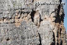 [P12] cataratori pe cinque torri » foto by mariana
 - 
<span class="allrVoted glyphicon glyphicon-heart hidden" id="av16942"></span>
<a class="m-l-10 hidden" id="sv16942" onclick="voting_Foto_DelVot(,16942,29209)" role="button">șterge vot <span class="glyphicon glyphicon-remove"></span></a>
<a id="v916942" class=" c-red"  onclick="voting_Foto_SetVot(16942)" role="button"><span class="glyphicon glyphicon-heart-empty"></span> <b>LIKE</b> = Votează poza</a> <img class="hidden"  id="f16942W9" src="/imagini/loader.gif" border="0" /><span class="AjErrMes hidden" id="e16942ErM"></span>