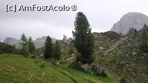 [P23] Cinque Torri di Averau » foto by elenaadina
 - 
<span class="allrVoted glyphicon glyphicon-heart hidden" id="av1511663"></span>
<a class="m-l-10 hidden" id="sv1511663" onclick="voting_Foto_DelVot(,1511663,29209)" role="button">șterge vot <span class="glyphicon glyphicon-remove"></span></a>
<a id="v91511663" class=" c-red"  onclick="voting_Foto_SetVot(1511663)" role="button"><span class="glyphicon glyphicon-heart-empty"></span> <b>LIKE</b> = Votează poza</a> <img class="hidden"  id="f1511663W9" src="/imagini/loader.gif" border="0" /><span class="AjErrMes hidden" id="e1511663ErM"></span>