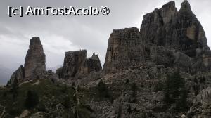 [P39]  -- <small>// FĂRĂ DESCRIERE</small> » foto by elenaadina
 - 
<span class="allrVoted glyphicon glyphicon-heart hidden" id="av1511679"></span>
<a class="m-l-10 hidden" id="sv1511679" onclick="voting_Foto_DelVot(,1511679,29209)" role="button">șterge vot <span class="glyphicon glyphicon-remove"></span></a>
<a id="v91511679" class=" c-red"  onclick="voting_Foto_SetVot(1511679)" role="button"><span class="glyphicon glyphicon-heart-empty"></span> <b>LIKE</b> = Votează poza</a> <img class="hidden"  id="f1511679W9" src="/imagini/loader.gif" border="0" /><span class="AjErrMes hidden" id="e1511679ErM"></span>