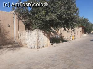 [P41] Hiva ziua » foto by adso
 - 
<span class="allrVoted glyphicon glyphicon-heart hidden" id="av1512323"></span>
<a class="m-l-10 hidden" id="sv1512323" onclick="voting_Foto_DelVot(,1512323,29214)" role="button">șterge vot <span class="glyphicon glyphicon-remove"></span></a>
<a id="v91512323" class=" c-red"  onclick="voting_Foto_SetVot(1512323)" role="button"><span class="glyphicon glyphicon-heart-empty"></span> <b>LIKE</b> = Votează poza</a> <img class="hidden"  id="f1512323W9" src="/imagini/loader.gif" border="0" /><span class="AjErrMes hidden" id="e1512323ErM"></span>