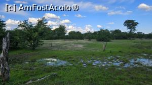 [P31] prin parcul natural » foto by robert
 - 
<span class="allrVoted glyphicon glyphicon-heart hidden" id="av1513779"></span>
<a class="m-l-10 hidden" id="sv1513779" onclick="voting_Foto_DelVot(,1513779,29216)" role="button">șterge vot <span class="glyphicon glyphicon-remove"></span></a>
<a id="v91513779" class=" c-red"  onclick="voting_Foto_SetVot(1513779)" role="button"><span class="glyphicon glyphicon-heart-empty"></span> <b>LIKE</b> = Votează poza</a> <img class="hidden"  id="f1513779W9" src="/imagini/loader.gif" border="0" /><span class="AjErrMes hidden" id="e1513779ErM"></span>