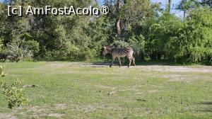 [P35] prin parcul natural » foto by robert
 - 
<span class="allrVoted glyphicon glyphicon-heart hidden" id="av1513783"></span>
<a class="m-l-10 hidden" id="sv1513783" onclick="voting_Foto_DelVot(,1513783,29216)" role="button">șterge vot <span class="glyphicon glyphicon-remove"></span></a>
<a id="v91513783" class=" c-red"  onclick="voting_Foto_SetVot(1513783)" role="button"><span class="glyphicon glyphicon-heart-empty"></span> <b>LIKE</b> = Votează poza</a> <img class="hidden"  id="f1513783W9" src="/imagini/loader.gif" border="0" /><span class="AjErrMes hidden" id="e1513783ErM"></span>