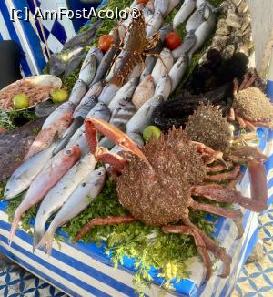 [P21] Homar proaspăt în port la Oceanul Atlantic Maroc » foto by ManuelaManu
 - 
<span class="allrVoted glyphicon glyphicon-heart hidden" id="av1514522"></span>
<a class="m-l-10 hidden" id="sv1514522" onclick="voting_Foto_DelVot(,1514522,29224)" role="button">șterge vot <span class="glyphicon glyphicon-remove"></span></a>
<a id="v91514522" class=" c-red"  onclick="voting_Foto_SetVot(1514522)" role="button"><span class="glyphicon glyphicon-heart-empty"></span> <b>LIKE</b> = Votează poza</a> <img class="hidden"  id="f1514522W9" src="/imagini/loader.gif" border="0" /><span class="AjErrMes hidden" id="e1514522ErM"></span>