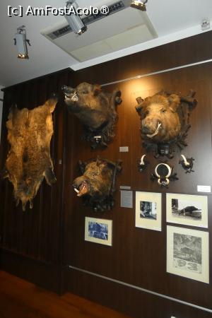 [P15] Sala nr. 4 -dedicată vânatului mare » foto by Claudiu U.
 - 
<span class="allrVoted glyphicon glyphicon-heart hidden" id="av1514654"></span>
<a class="m-l-10 hidden" id="sv1514654" onclick="voting_Foto_DelVot(,1514654,29226)" role="button">șterge vot <span class="glyphicon glyphicon-remove"></span></a>
<a id="v91514654" class=" c-red"  onclick="voting_Foto_SetVot(1514654)" role="button"><span class="glyphicon glyphicon-heart-empty"></span> <b>LIKE</b> = Votează poza</a> <img class="hidden"  id="f1514654W9" src="/imagini/loader.gif" border="0" /><span class="AjErrMes hidden" id="e1514654ErM"></span>