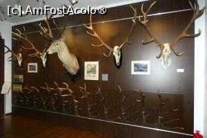 [P17] Sala nr. 4 -dedicată vânatului mare » foto by Claudiu U.
 - 
<span class="allrVoted glyphicon glyphicon-heart hidden" id="av1514656"></span>
<a class="m-l-10 hidden" id="sv1514656" onclick="voting_Foto_DelVot(,1514656,29226)" role="button">șterge vot <span class="glyphicon glyphicon-remove"></span></a>
<a id="v91514656" class=" c-red"  onclick="voting_Foto_SetVot(1514656)" role="button"><span class="glyphicon glyphicon-heart-empty"></span> <b>LIKE</b> = Votează poza</a> <img class="hidden"  id="f1514656W9" src="/imagini/loader.gif" border="0" /><span class="AjErrMes hidden" id="e1514656ErM"></span>