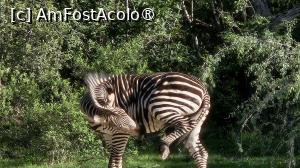 [P36] prin parcul natural » foto by robert
 - 
<span class="allrVoted glyphicon glyphicon-heart hidden" id="av1513784"></span>
<a class="m-l-10 hidden" id="sv1513784" onclick="voting_Foto_DelVot(,1513784,29229)" role="button">șterge vot <span class="glyphicon glyphicon-remove"></span></a>
<a id="v91513784" class=" c-red"  onclick="voting_Foto_SetVot(1513784)" role="button"><span class="glyphicon glyphicon-heart-empty"></span> <b>LIKE</b> = Votează poza</a> <img class="hidden"  id="f1513784W9" src="/imagini/loader.gif" border="0" /><span class="AjErrMes hidden" id="e1513784ErM"></span>