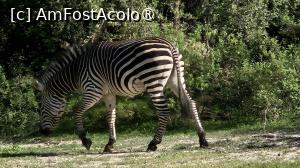 [P37] prin parcul natural » foto by robert
 - 
<span class="allrVoted glyphicon glyphicon-heart hidden" id="av1513785"></span>
<a class="m-l-10 hidden" id="sv1513785" onclick="voting_Foto_DelVot(,1513785,29229)" role="button">șterge vot <span class="glyphicon glyphicon-remove"></span></a>
<a id="v91513785" class=" c-red"  onclick="voting_Foto_SetVot(1513785)" role="button"><span class="glyphicon glyphicon-heart-empty"></span> <b>LIKE</b> = Votează poza</a> <img class="hidden"  id="f1513785W9" src="/imagini/loader.gif" border="0" /><span class="AjErrMes hidden" id="e1513785ErM"></span>