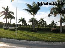 [P10]  -- <small>// FĂRĂ DESCRIERE</small> » foto by ciubi
 - 
<span class="allrVoted glyphicon glyphicon-heart hidden" id="av180141"></span>
<a class="m-l-10 hidden" id="sv180141" onclick="voting_Foto_DelVot(,180141,29233)" role="button">șterge vot <span class="glyphicon glyphicon-remove"></span></a>
<a id="v9180141" class=" c-red"  onclick="voting_Foto_SetVot(180141)" role="button"><span class="glyphicon glyphicon-heart-empty"></span> <b>LIKE</b> = Votează poza</a> <img class="hidden"  id="f180141W9" src="/imagini/loader.gif" border="0" /><span class="AjErrMes hidden" id="e180141ErM"></span>