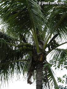 [P08]  -- <small>// FĂRĂ DESCRIERE</small> » foto by ciubi
 - 
<span class="allrVoted glyphicon glyphicon-heart hidden" id="av180139"></span>
<a class="m-l-10 hidden" id="sv180139" onclick="voting_Foto_DelVot(,180139,29233)" role="button">șterge vot <span class="glyphicon glyphicon-remove"></span></a>
<a id="v9180139" class=" c-red"  onclick="voting_Foto_SetVot(180139)" role="button"><span class="glyphicon glyphicon-heart-empty"></span> <b>LIKE</b> = Votează poza</a> <img class="hidden"  id="f180139W9" src="/imagini/loader.gif" border="0" /><span class="AjErrMes hidden" id="e180139ErM"></span>