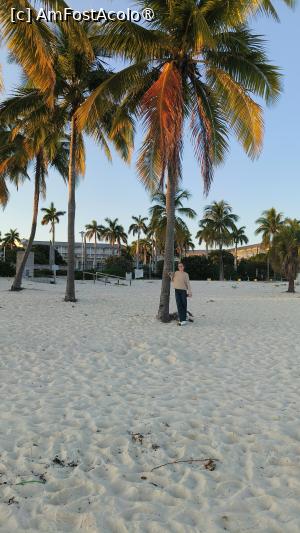 [P08] În prima dup-amiază, deși era cam târziu, am dat o fugă până la plaja Lucaya (la aprox 2 km de hotelul nostru) — cu nisip alb!! » foto by Cornel
 - 
<span class="allrVoted glyphicon glyphicon-heart hidden" id="av1515031"></span>
<a class="m-l-10 hidden" id="sv1515031" onclick="voting_Foto_DelVot(,1515031,29233)" role="button">șterge vot <span class="glyphicon glyphicon-remove"></span></a>
<a id="v91515031" class=" c-red"  onclick="voting_Foto_SetVot(1515031)" role="button"><span class="glyphicon glyphicon-heart-empty"></span> <b>LIKE</b> = Votează poza</a> <img class="hidden"  id="f1515031W9" src="/imagini/loader.gif" border="0" /><span class="AjErrMes hidden" id="e1515031ErM"></span>