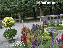 [P11] O zi in Salzburg - Gradinile Mirabell - langa fantana octogonala din centru » foto by irma_ro*
 - 
<span class="allrVoted glyphicon glyphicon-heart hidden" id="av173068"></span>
<a class="m-l-10 hidden" id="sv173068" onclick="voting_Foto_DelVot(,173068,29235)" role="button">șterge vot <span class="glyphicon glyphicon-remove"></span></a>
<a id="v9173068" class=" c-red"  onclick="voting_Foto_SetVot(173068)" role="button"><span class="glyphicon glyphicon-heart-empty"></span> <b>LIKE</b> = Votează poza</a> <img class="hidden"  id="f173068W9" src="/imagini/loader.gif" border="0" /><span class="AjErrMes hidden" id="e173068ErM"></span>