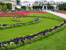 [P16] O zi in Salzburg - Gradinile Mirabell - flori multicolore » foto by irma_ro*
 - 
<span class="allrVoted glyphicon glyphicon-heart hidden" id="av173073"></span>
<a class="m-l-10 hidden" id="sv173073" onclick="voting_Foto_DelVot(,173073,29235)" role="button">șterge vot <span class="glyphicon glyphicon-remove"></span></a>
<a id="v9173073" class=" c-red"  onclick="voting_Foto_SetVot(173073)" role="button"><span class="glyphicon glyphicon-heart-empty"></span> <b>LIKE</b> = Votează poza</a> <img class="hidden"  id="f173073W9" src="/imagini/loader.gif" border="0" /><span class="AjErrMes hidden" id="e173073ErM"></span>