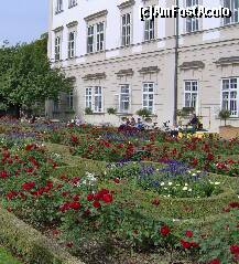 [P21] O zi in Salzburg - Gradinile Mirabell - flori de toate culorile » foto by irma_ro*
 - 
<span class="allrVoted glyphicon glyphicon-heart hidden" id="av173078"></span>
<a class="m-l-10 hidden" id="sv173078" onclick="voting_Foto_DelVot(,173078,29235)" role="button">șterge vot <span class="glyphicon glyphicon-remove"></span></a>
<a id="v9173078" class=" c-red"  onclick="voting_Foto_SetVot(173078)" role="button"><span class="glyphicon glyphicon-heart-empty"></span> <b>LIKE</b> = Votează poza</a> <img class="hidden"  id="f173078W9" src="/imagini/loader.gif" border="0" /><span class="AjErrMes hidden" id="e173078ErM"></span>