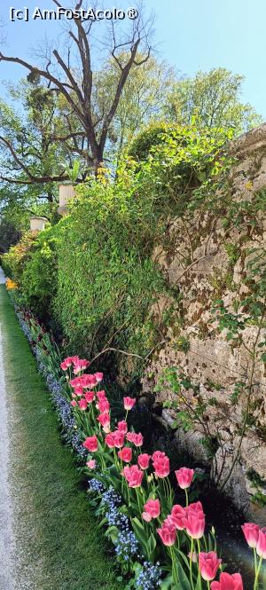 [P14] Flori de primăvară. » foto by tata123 🔱
 - 
<span class="allrVoted glyphicon glyphicon-heart hidden" id="av1518866"></span>
<a class="m-l-10 hidden" id="sv1518866" onclick="voting_Foto_DelVot(,1518866,29235)" role="button">șterge vot <span class="glyphicon glyphicon-remove"></span></a>
<a id="v91518866" class=" c-red"  onclick="voting_Foto_SetVot(1518866)" role="button"><span class="glyphicon glyphicon-heart-empty"></span> <b>LIKE</b> = Votează poza</a> <img class="hidden"  id="f1518866W9" src="/imagini/loader.gif" border="0" /><span class="AjErrMes hidden" id="e1518866ErM"></span>