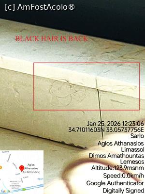 [P21] Smoc de par negru. Il purta vântu prin casa ca si bascheții prin desert » foto by Om bun
 - 
<span class="allrVoted glyphicon glyphicon-heart hidden" id="av1516746"></span>
<a class="m-l-10 hidden" id="sv1516746" onclick="voting_Foto_DelVot(,1516746,29241)" role="button">șterge vot <span class="glyphicon glyphicon-remove"></span></a>
<a id="v91516746" class=" c-red"  onclick="voting_Foto_SetVot(1516746)" role="button"><span class="glyphicon glyphicon-heart-empty"></span> <b>LIKE</b> = Votează poza</a> <img class="hidden"  id="f1516746W9" src="/imagini/loader.gif" border="0" /><span class="AjErrMes hidden" id="e1516746ErM"></span>