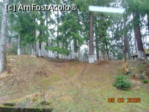 [P35] padurea de brazi » foto by Yolanda
 - 
<span class="allrVoted glyphicon glyphicon-heart hidden" id="av1518293"></span>
<a class="m-l-10 hidden" id="sv1518293" onclick="voting_Foto_DelVot(,1518293,29255)" role="button">șterge vot <span class="glyphicon glyphicon-remove"></span></a>
<a id="v91518293" class=" c-red"  onclick="voting_Foto_SetVot(1518293)" role="button"><span class="glyphicon glyphicon-heart-empty"></span> <b>LIKE</b> = Votează poza</a> <img class="hidden"  id="f1518293W9" src="/imagini/loader.gif" border="0" /><span class="AjErrMes hidden" id="e1518293ErM"></span>