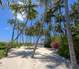 [P15] Sun Siyam Olhuveli » foto by elenaadina
 - 
<span class="allrVoted glyphicon glyphicon-heart hidden" id="av1518318"></span>
<a class="m-l-10 hidden" id="sv1518318" onclick="voting_Foto_DelVot(,1518318,29256)" role="button">șterge vot <span class="glyphicon glyphicon-remove"></span></a>
<a id="v91518318" class=" c-red"  onclick="voting_Foto_SetVot(1518318)" role="button"><span class="glyphicon glyphicon-heart-empty"></span> <b>LIKE</b> = Votează poza</a> <img class="hidden"  id="f1518318W9" src="/imagini/loader.gif" border="0" /><span class="AjErrMes hidden" id="e1518318ErM"></span>