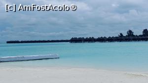 [P38]  -- <small>// FĂRĂ DESCRIERE</small> » foto by elenaadina
 - 
<span class="allrVoted glyphicon glyphicon-heart hidden" id="av1518341"></span>
<a class="m-l-10 hidden" id="sv1518341" onclick="voting_Foto_DelVot(,1518341,29256)" role="button">șterge vot <span class="glyphicon glyphicon-remove"></span></a>
<a id="v91518341" class=" c-red"  onclick="voting_Foto_SetVot(1518341)" role="button"><span class="glyphicon glyphicon-heart-empty"></span> <b>LIKE</b> = Votează poza</a> <img class="hidden"  id="f1518341W9" src="/imagini/loader.gif" border="0" /><span class="AjErrMes hidden" id="e1518341ErM"></span>