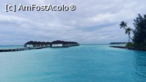 [P40]  -- <small>// FĂRĂ DESCRIERE</small> » foto by elenaadina
 - 
<span class="allrVoted glyphicon glyphicon-heart hidden" id="av1518343"></span>
<a class="m-l-10 hidden" id="sv1518343" onclick="voting_Foto_DelVot(,1518343,29256)" role="button">șterge vot <span class="glyphicon glyphicon-remove"></span></a>
<a id="v91518343" class=" c-red"  onclick="voting_Foto_SetVot(1518343)" role="button"><span class="glyphicon glyphicon-heart-empty"></span> <b>LIKE</b> = Votează poza</a> <img class="hidden"  id="f1518343W9" src="/imagini/loader.gif" border="0" /><span class="AjErrMes hidden" id="e1518343ErM"></span>