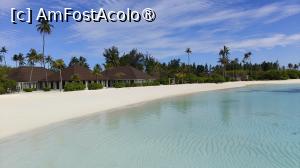 [P58]  -- <small>// FĂRĂ DESCRIERE</small> » foto by elenaadina
 - 
<span class="allrVoted glyphicon glyphicon-heart hidden" id="av1518361"></span>
<a class="m-l-10 hidden" id="sv1518361" onclick="voting_Foto_DelVot(,1518361,29256)" role="button">șterge vot <span class="glyphicon glyphicon-remove"></span></a>
<a id="v91518361" class=" c-red"  onclick="voting_Foto_SetVot(1518361)" role="button"><span class="glyphicon glyphicon-heart-empty"></span> <b>LIKE</b> = Votează poza</a> <img class="hidden"  id="f1518361W9" src="/imagini/loader.gif" border="0" /><span class="AjErrMes hidden" id="e1518361ErM"></span>