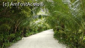 [P64]  -- <small>// FĂRĂ DESCRIERE</small> » foto by elenaadina
 - 
<span class="allrVoted glyphicon glyphicon-heart hidden" id="av1518367"></span>
<a class="m-l-10 hidden" id="sv1518367" onclick="voting_Foto_DelVot(,1518367,29256)" role="button">șterge vot <span class="glyphicon glyphicon-remove"></span></a>
<a id="v91518367" class=" c-red"  onclick="voting_Foto_SetVot(1518367)" role="button"><span class="glyphicon glyphicon-heart-empty"></span> <b>LIKE</b> = Votează poza</a> <img class="hidden"  id="f1518367W9" src="/imagini/loader.gif" border="0" /><span class="AjErrMes hidden" id="e1518367ErM"></span>