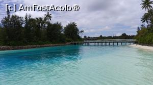 [P69]  -- <small>// FĂRĂ DESCRIERE</small> » foto by elenaadina
 - 
<span class="allrVoted glyphicon glyphicon-heart hidden" id="av1518372"></span>
<a class="m-l-10 hidden" id="sv1518372" onclick="voting_Foto_DelVot(,1518372,29256)" role="button">șterge vot <span class="glyphicon glyphicon-remove"></span></a>
<a id="v91518372" class=" c-red"  onclick="voting_Foto_SetVot(1518372)" role="button"><span class="glyphicon glyphicon-heart-empty"></span> <b>LIKE</b> = Votează poza</a> <img class="hidden"  id="f1518372W9" src="/imagini/loader.gif" border="0" /><span class="AjErrMes hidden" id="e1518372ErM"></span>