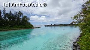 [P71]  -- <small>// FĂRĂ DESCRIERE</small> » foto by elenaadina
 - 
<span class="allrVoted glyphicon glyphicon-heart hidden" id="av1518374"></span>
<a class="m-l-10 hidden" id="sv1518374" onclick="voting_Foto_DelVot(,1518374,29256)" role="button">șterge vot <span class="glyphicon glyphicon-remove"></span></a>
<a id="v91518374" class=" c-red"  onclick="voting_Foto_SetVot(1518374)" role="button"><span class="glyphicon glyphicon-heart-empty"></span> <b>LIKE</b> = Votează poza</a> <img class="hidden"  id="f1518374W9" src="/imagini/loader.gif" border="0" /><span class="AjErrMes hidden" id="e1518374ErM"></span>