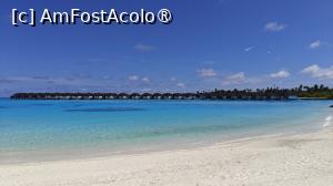 [P79]  -- <small>// FĂRĂ DESCRIERE</small> » foto by elenaadina
 - 
<span class="allrVoted glyphicon glyphicon-heart hidden" id="av1518382"></span>
<a class="m-l-10 hidden" id="sv1518382" onclick="voting_Foto_DelVot(,1518382,29256)" role="button">șterge vot <span class="glyphicon glyphicon-remove"></span></a>
<a id="v91518382" class=" c-red"  onclick="voting_Foto_SetVot(1518382)" role="button"><span class="glyphicon glyphicon-heart-empty"></span> <b>LIKE</b> = Votează poza</a> <img class="hidden"  id="f1518382W9" src="/imagini/loader.gif" border="0" /><span class="AjErrMes hidden" id="e1518382ErM"></span>